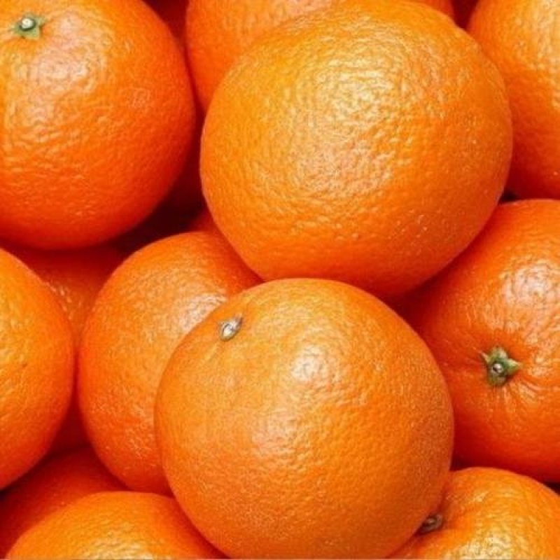 奉节脐橙新鲜橙子纽荷尔孕妇水果