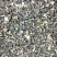 桂枝
