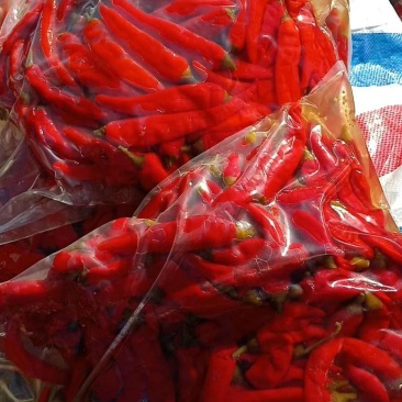 真空包腌制椒，色香味俱佳