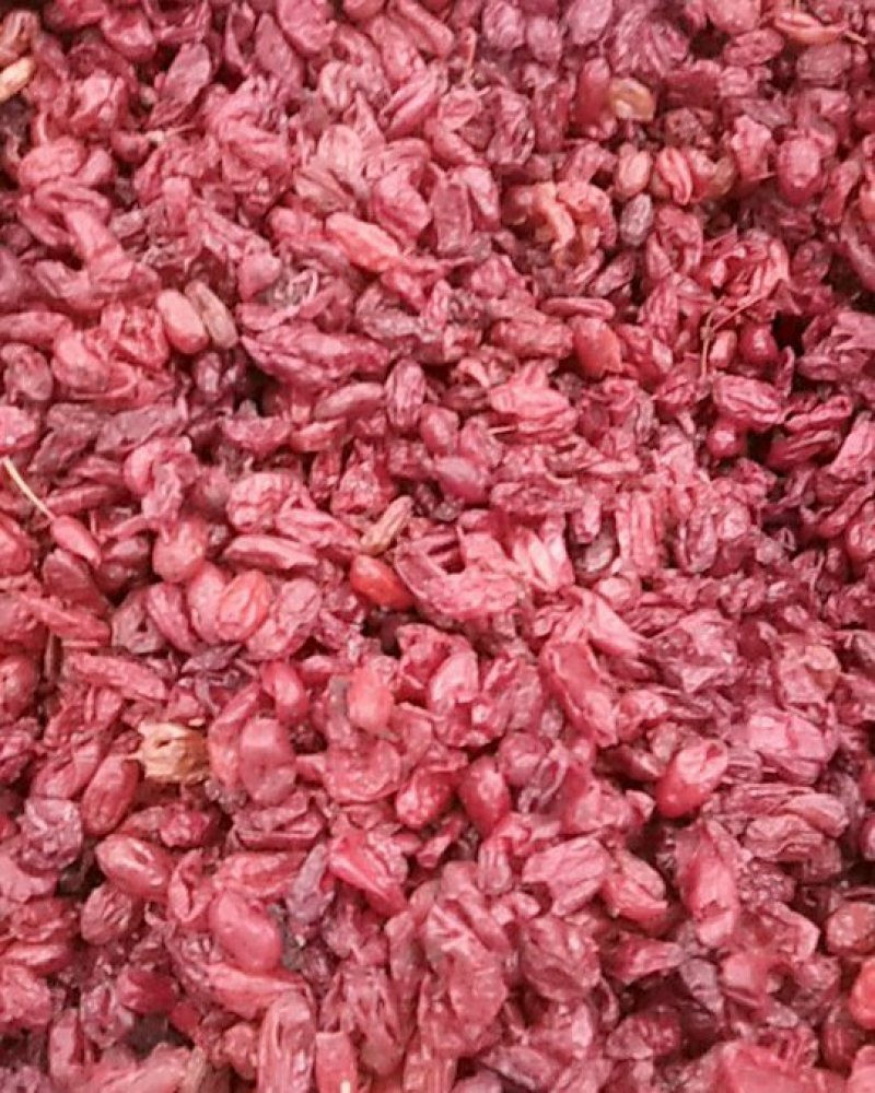 枣皮，山茱萸，茱萸肉，