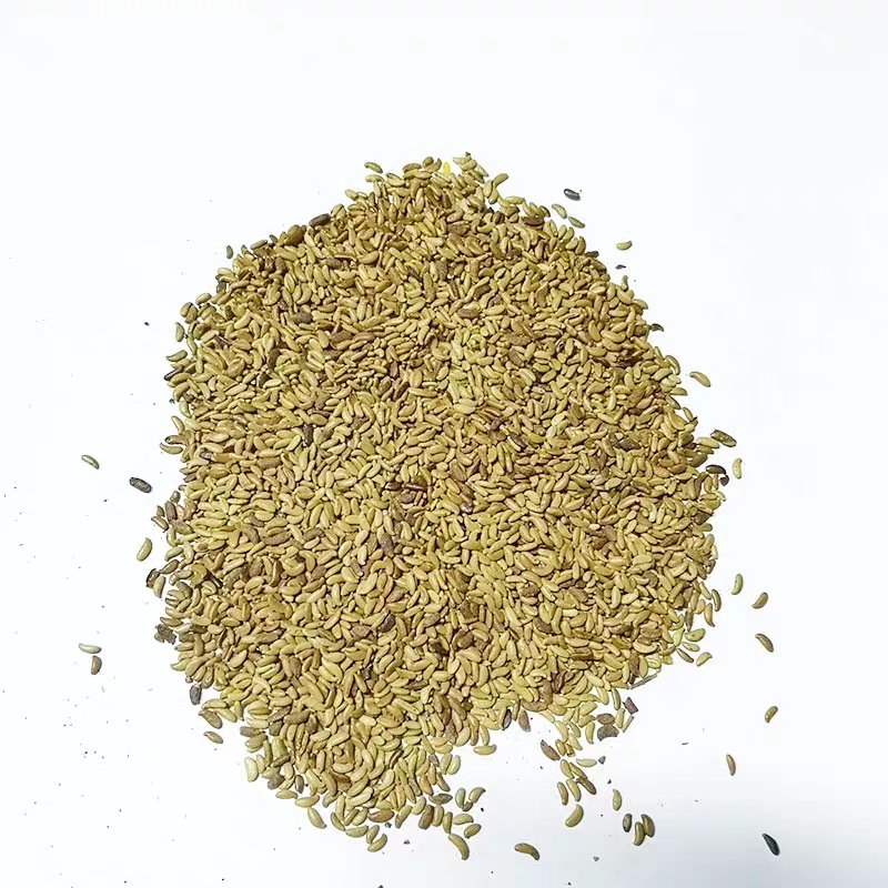 灌木种子刺槐紫穗槐猪屎豆银合欢多花木兰公路绿化护坡固土草