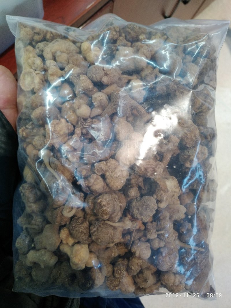 芝春堂中药材批发珠子参竹儿参一件代发