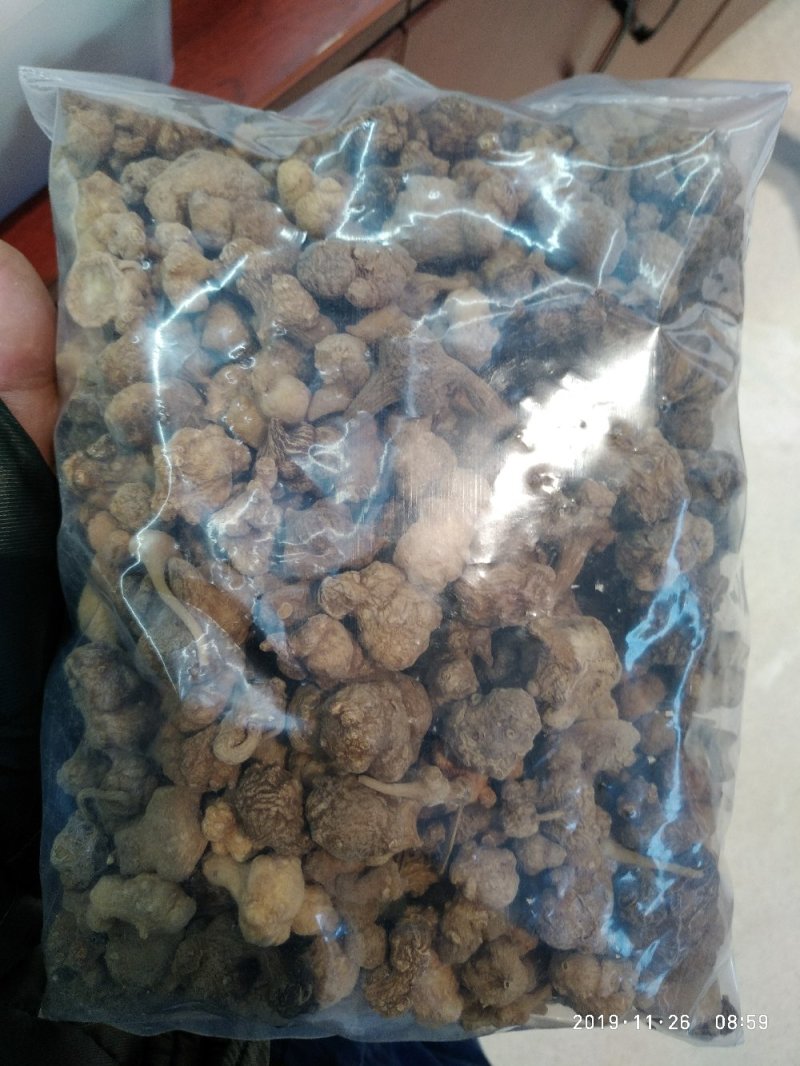 芝春堂中药材批发珠子参竹儿参一件代发
