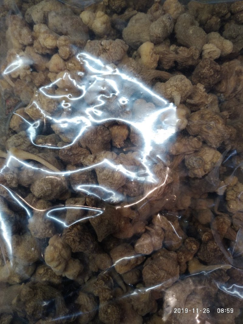 芝春堂中药材批发珠子参竹儿参一件代发