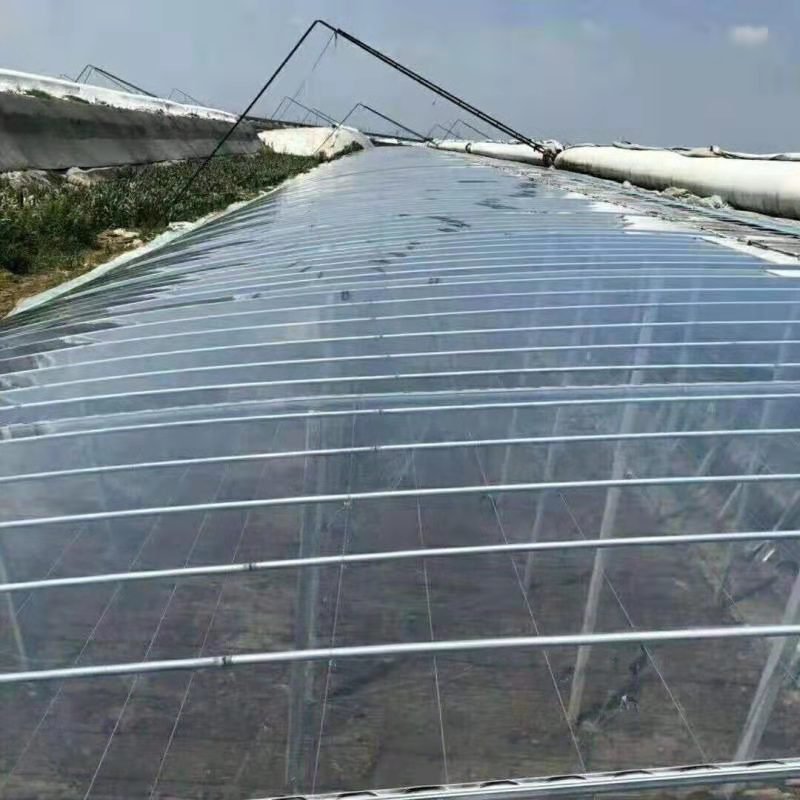 塑料薄膜长寿无滴膜黑白膜利得膜厂家直销价格优惠