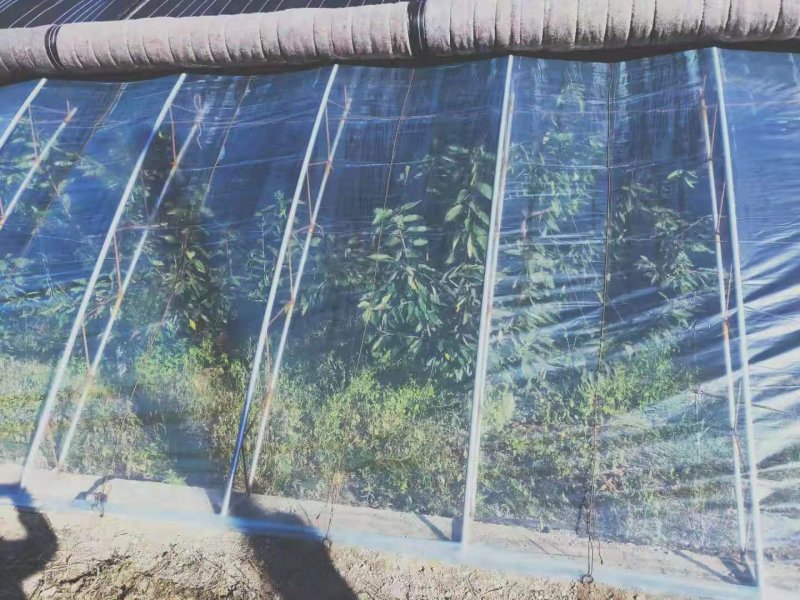 塑料薄膜长寿无滴膜黑白膜利得膜厂家直销价格优惠