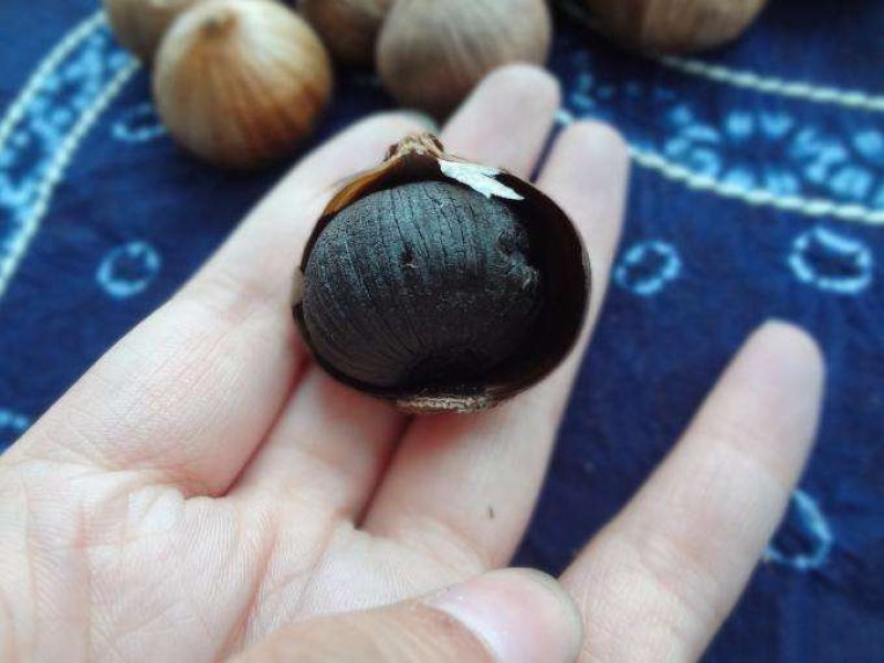黑蒜发酵黑蒜精品黑蒜厂家直供，包邮，批发价优