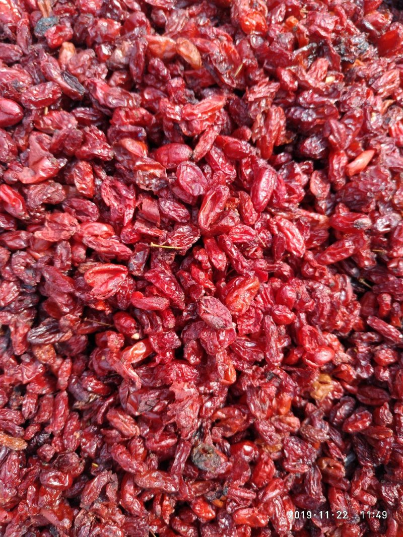 山萸肉，枣皮