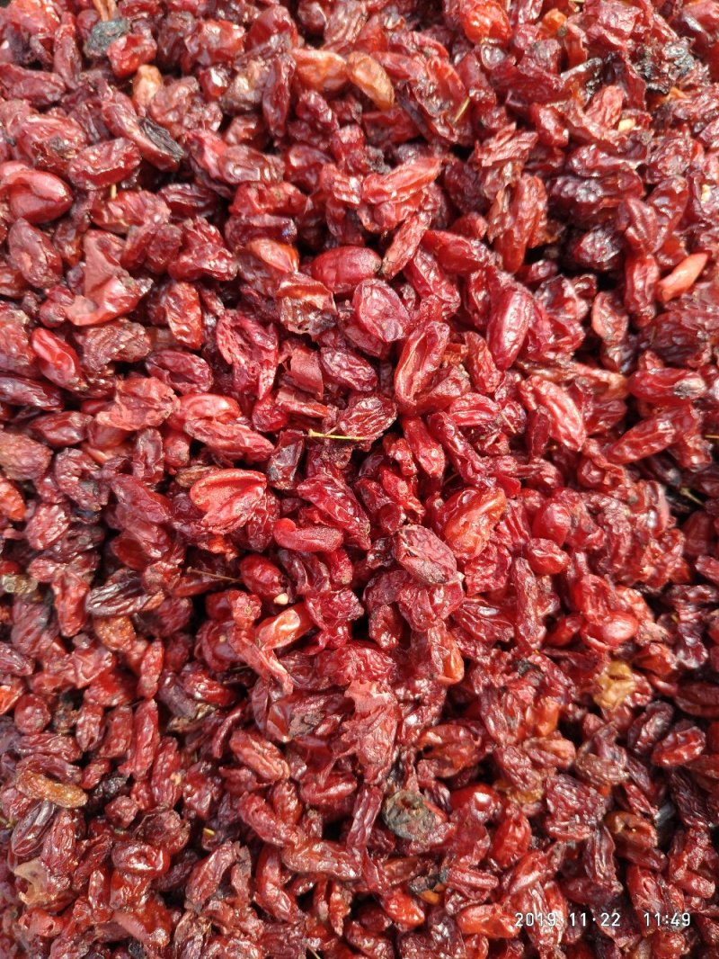 山萸肉，枣皮