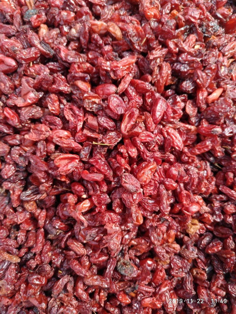 山萸肉，枣皮