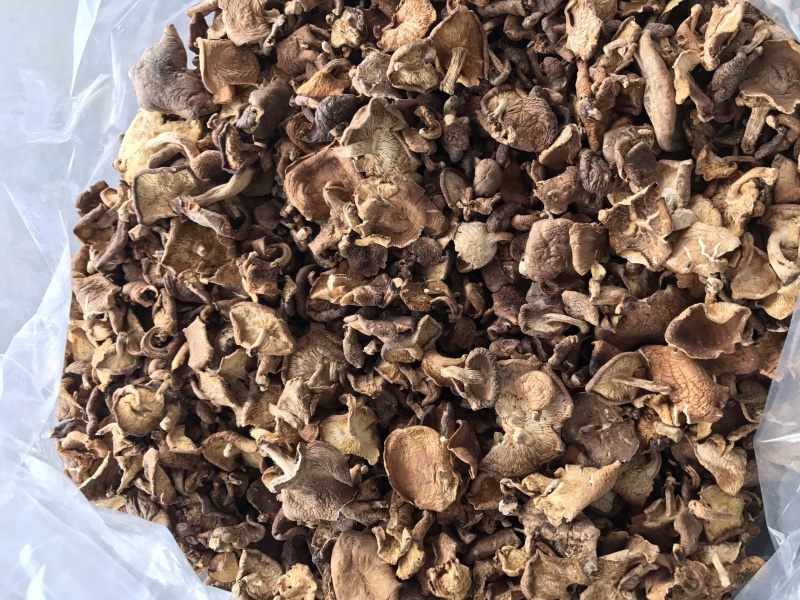 香菇干货云南特产野生香菇100%食用菌野生香菇