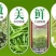 信阳毛尖新茶绿茶2020年雨前一级