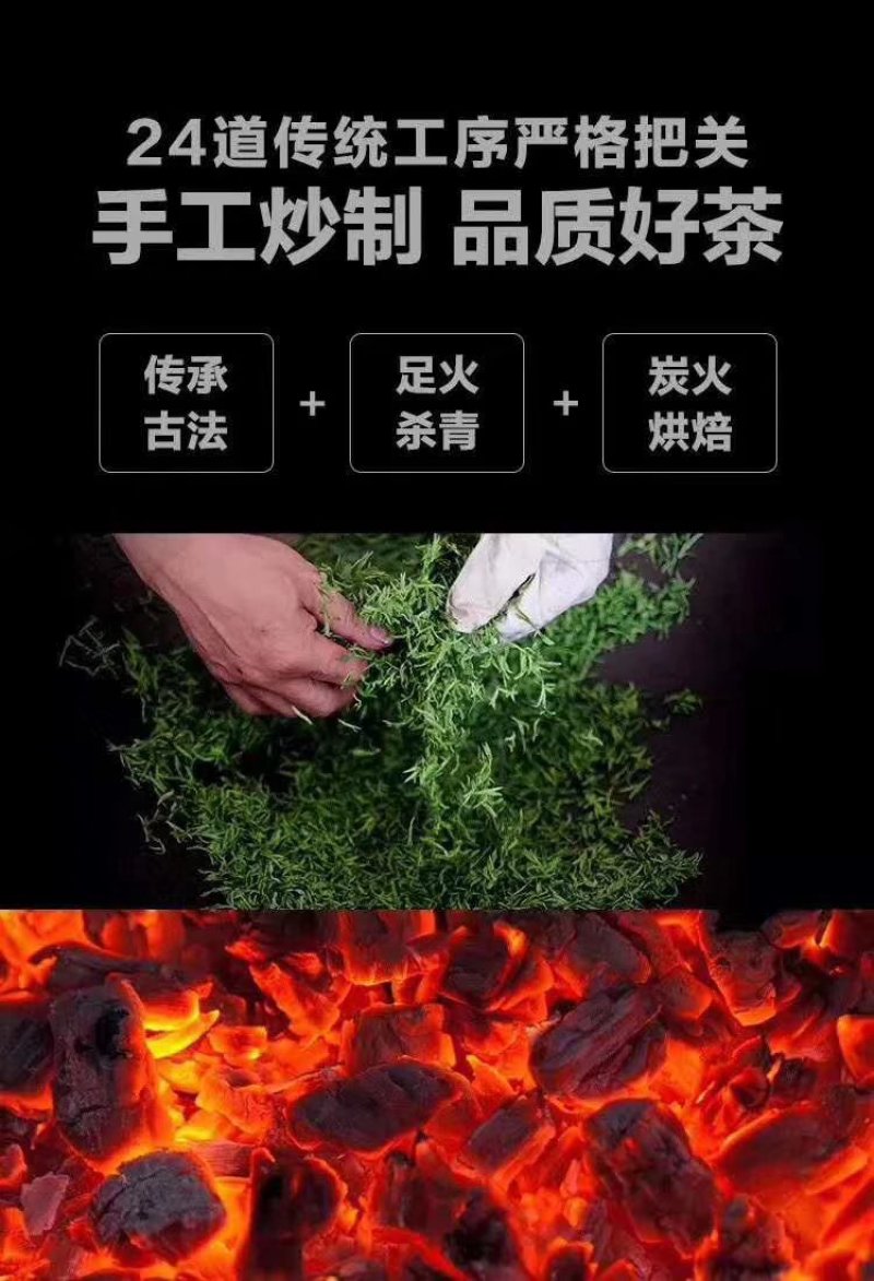 信阳毛尖新茶绿茶2020年雨前一级