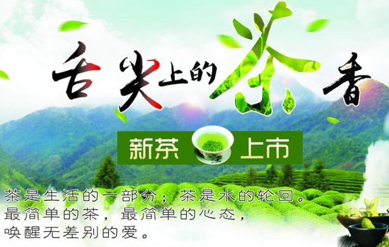 信阳毛尖绿茶新茶雨前二级浓郁