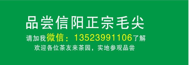 信阳毛尖绿茶新茶雨前二级浓郁