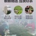 信阳毛尖绿茶新茶雨前二级浓郁