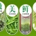 信阳毛尖绿茶新茶雨前二级浓郁