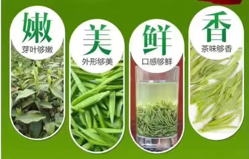 信阳毛尖绿茶新茶雨前二级浓郁