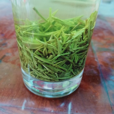 信阳毛尖2020年新茶雨前三级
