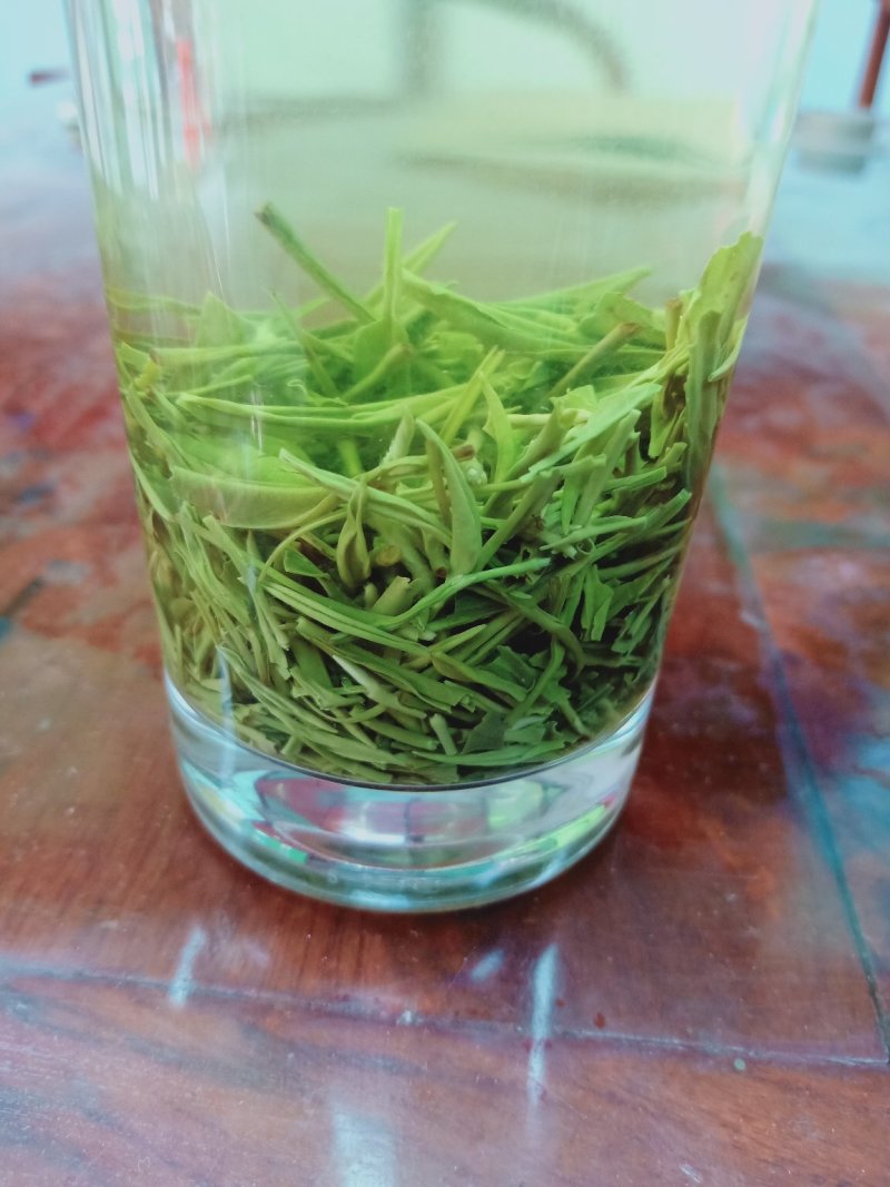 信阳毛尖2020年新茶雨前三级