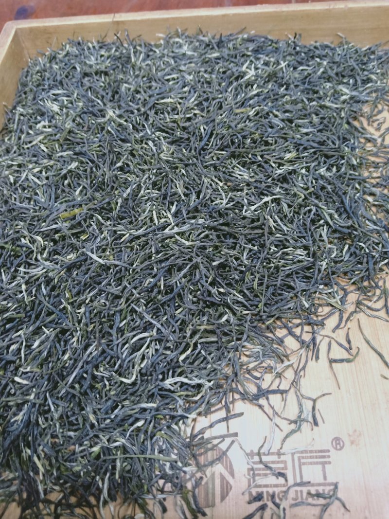 信阳毛尖2020年新茶雨前三级
