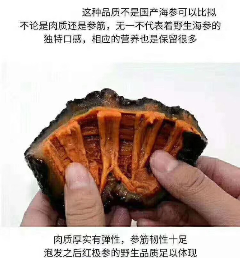 北极红参2斤/包
