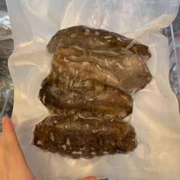 南美参冻海参