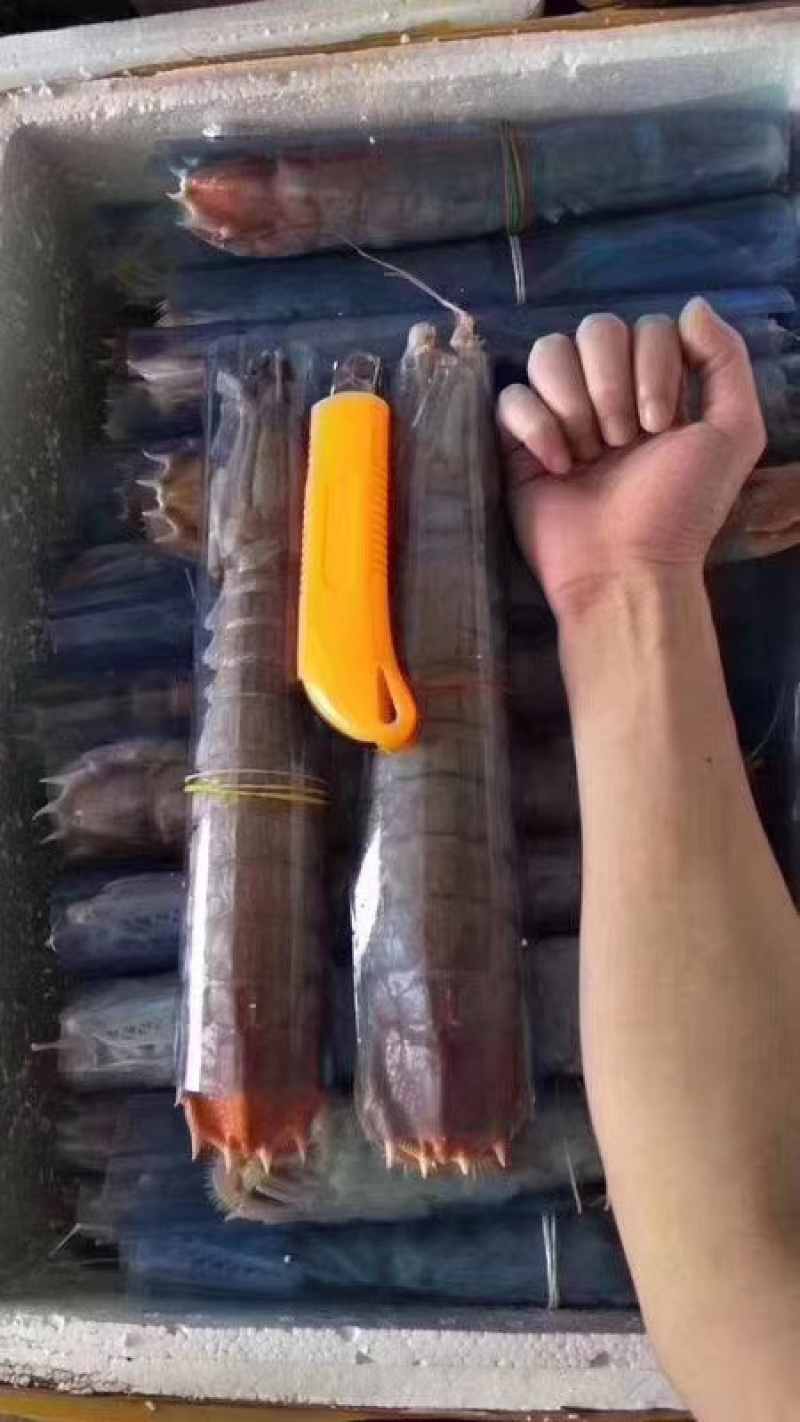 熟冻皮皮虾