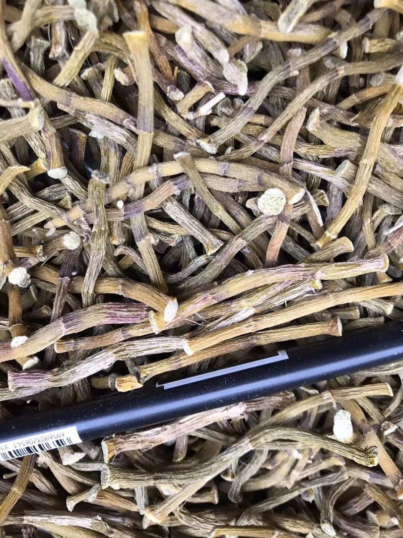 （25年新货）铁皮石斛寸金条产地批发，化渣多胶