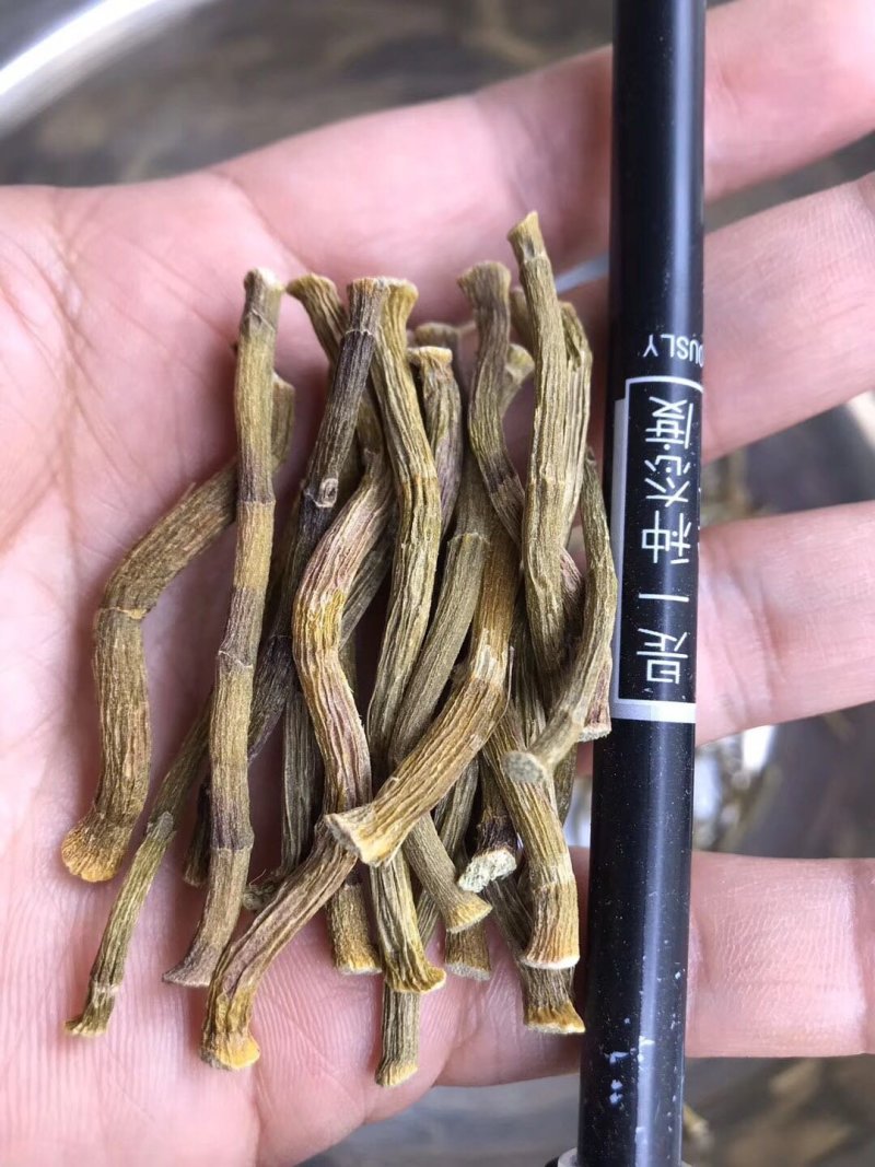 （25年新货）铁皮石斛寸金条产地批发，化渣多胶