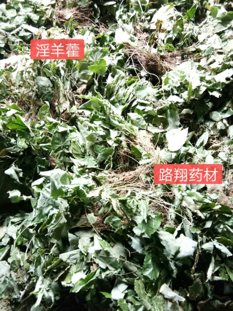 正品柔毛淫羊藿产地直发高含量干度好