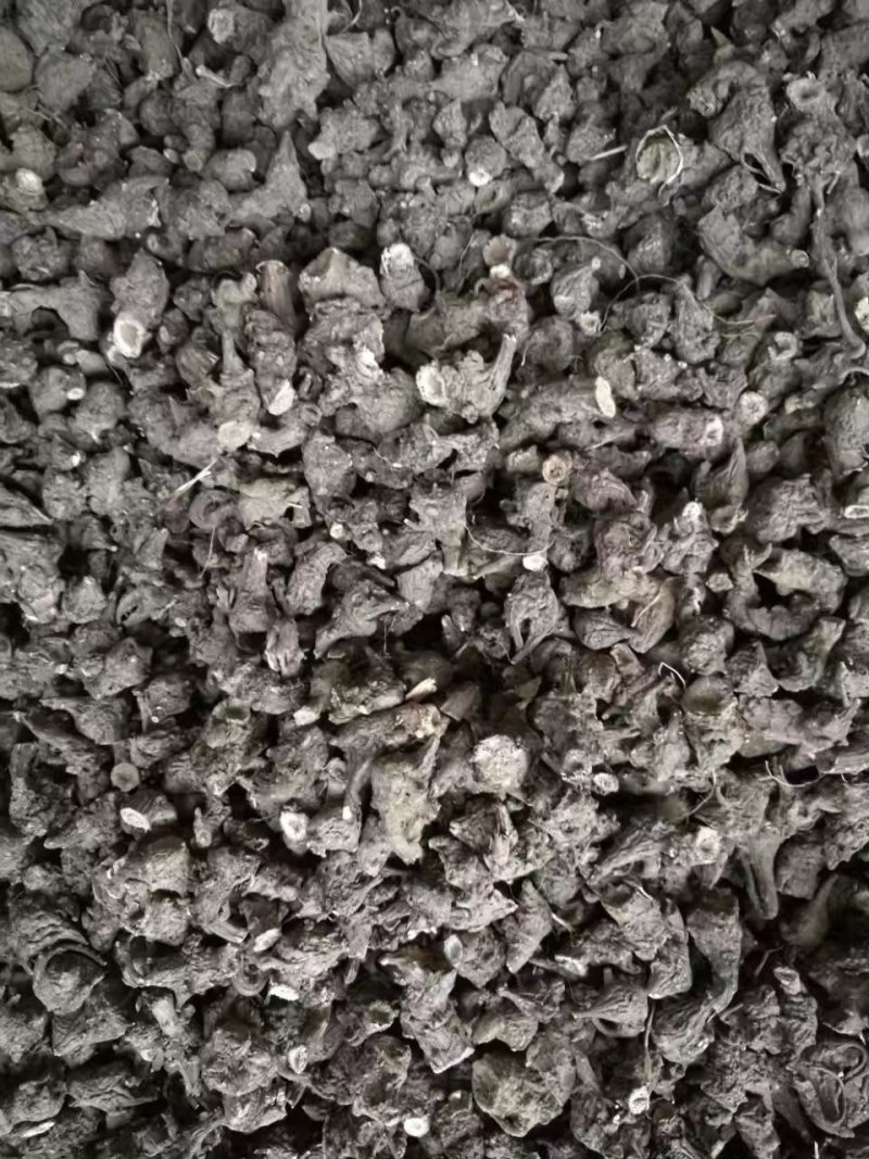 乌药，自然阳光凉晒风干无硫乌药产地直销