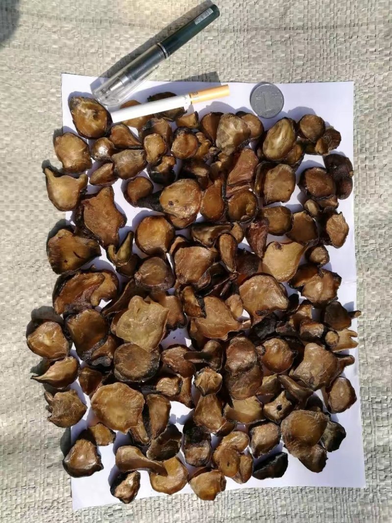 乌药，自然阳光凉晒风干无硫乌药产地直销