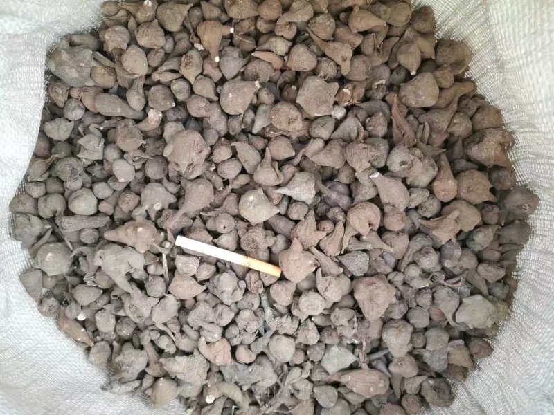 乌药，自然阳光凉晒风干无硫乌药产地直销