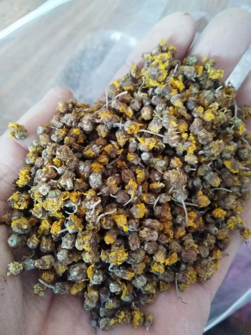 高含量野菊花，天然无硫，纯野生