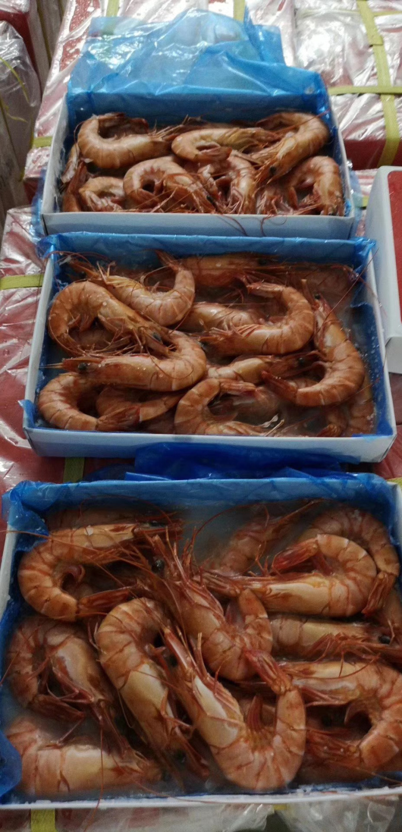 越南野生黑虎虾450克/盒15-20条