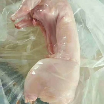 兔肉,烤兔用，红烧，无头兔麻辣兔肉用