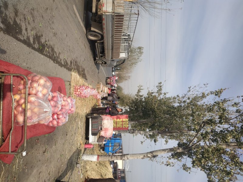 精品红富士苹果，品质保证产地直发，大量有货，欢迎选购