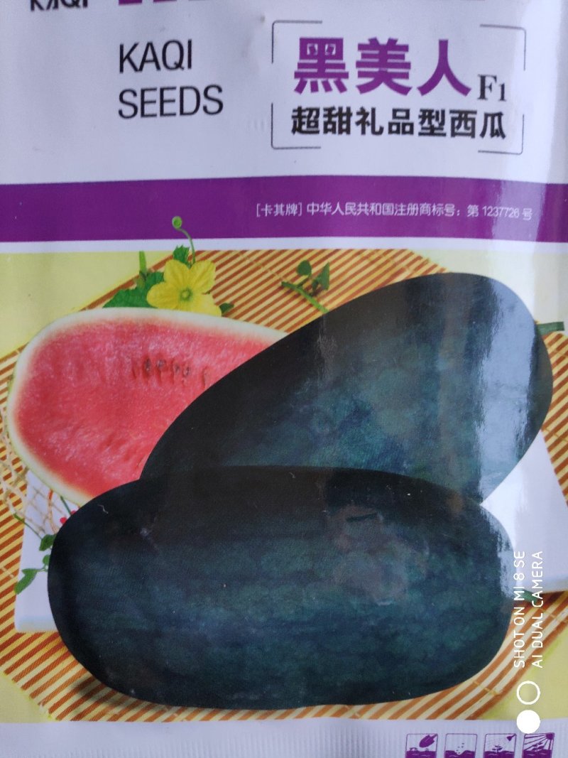 黑美人超甜礼品西瓜种子