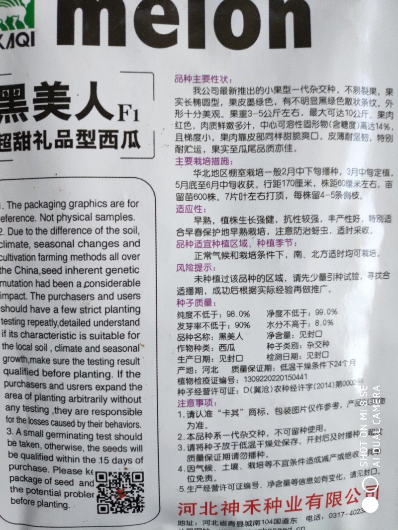 黑美人超甜礼品西瓜种子