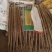 小白嘴