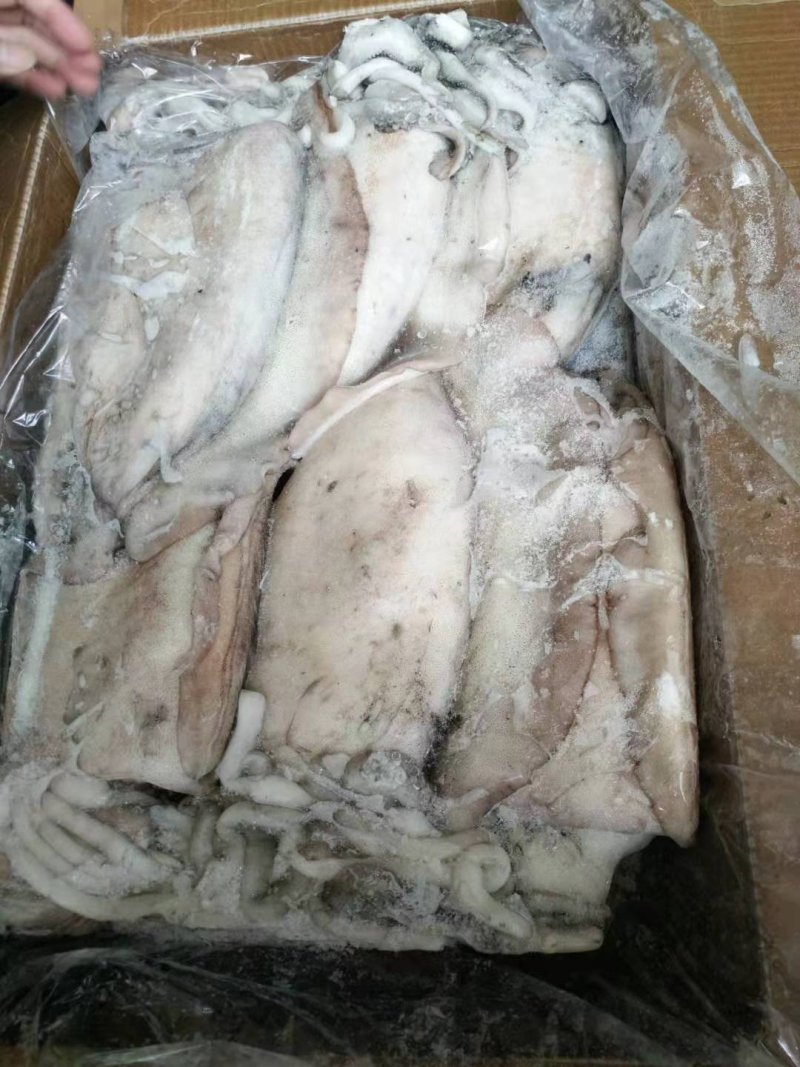 目鱼