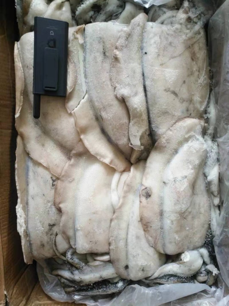 目鱼