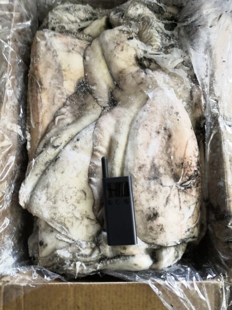 目鱼