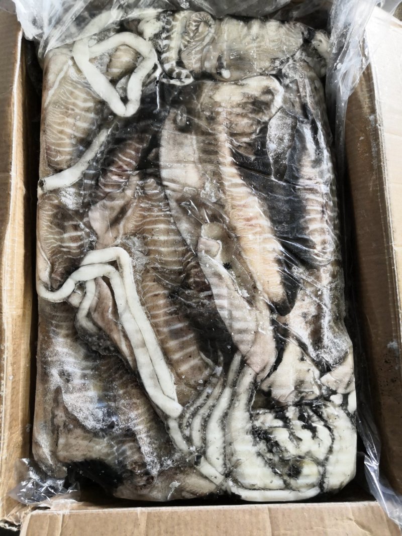 目鱼