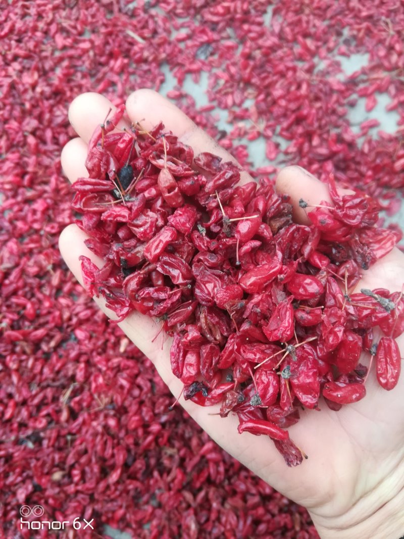山茱萸山芋肉枣皮中药材