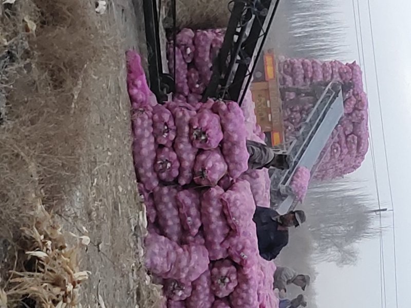 白葱，