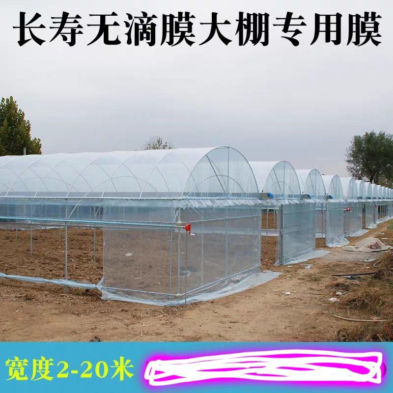 大棚膜棚膜蔬菜水果花卉专用1-20米宽规格齐全