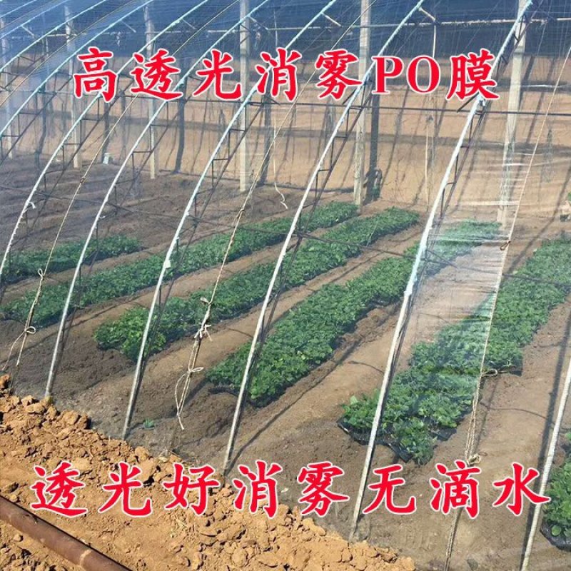 大棚膜棚膜蔬菜水果花卉专用1-20米宽规格齐全