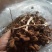 古田5号茶树菇不开伞量大运费商议请按购买数量拍否则不发货
